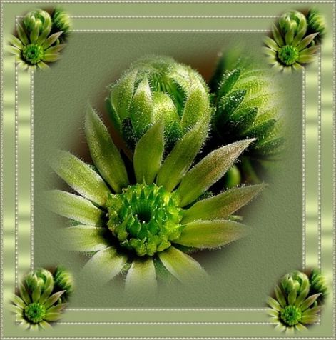 201208147fd16.jpg