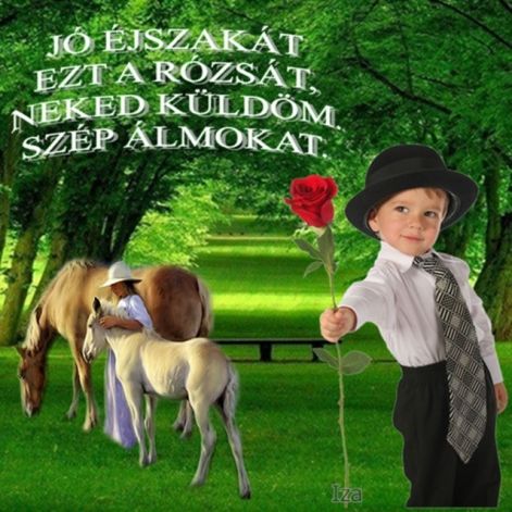 este29e.jpg