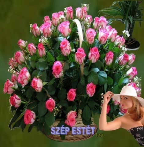 este6e.jpg