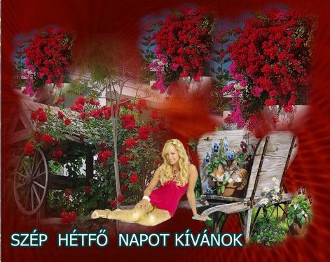 hetfo1.jpg