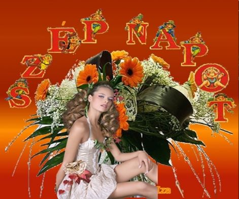 nap17n.jpg