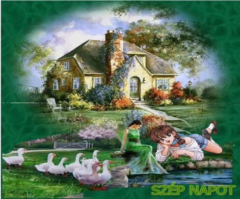 nap31n.jpg