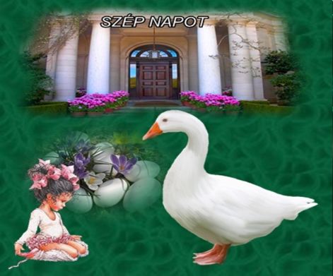 nap32n.jpg
