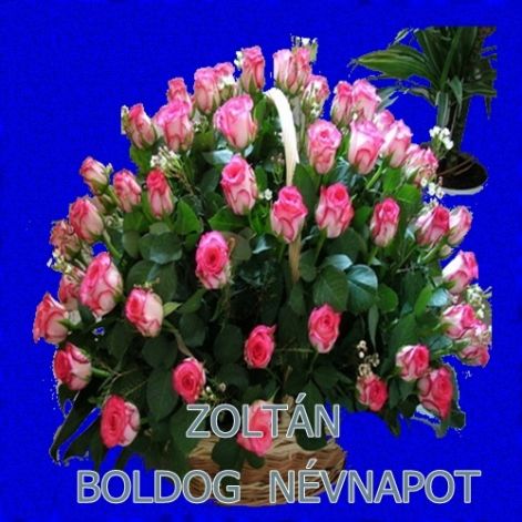 nevnap_zoltan.jpg