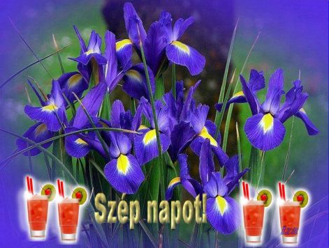 szep_napot1sz.jpg