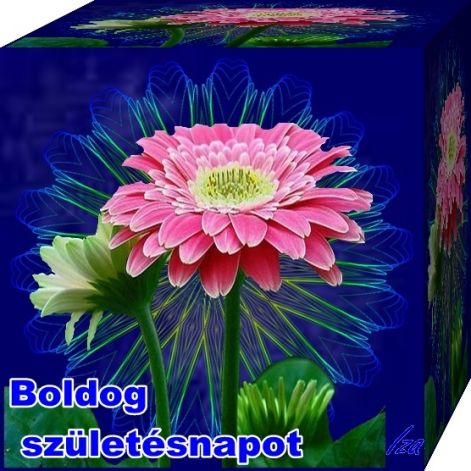 szuletesnap3sz.jpg