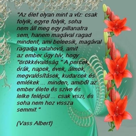 vers103v.jpg