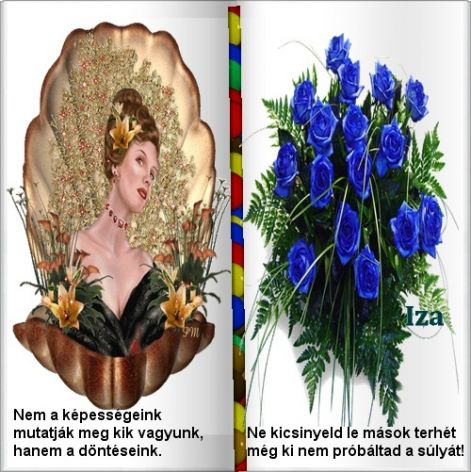 vers49v.jpg