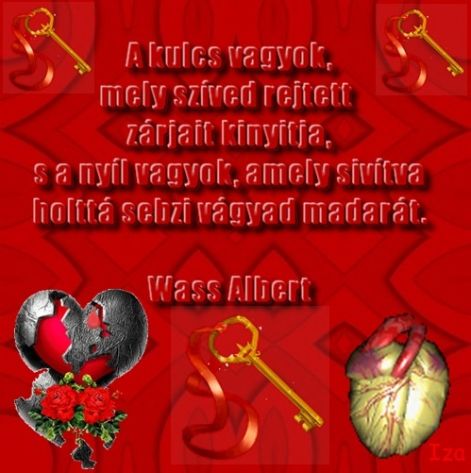 vers72v.jpg