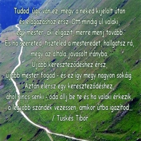 vers79v.jpg