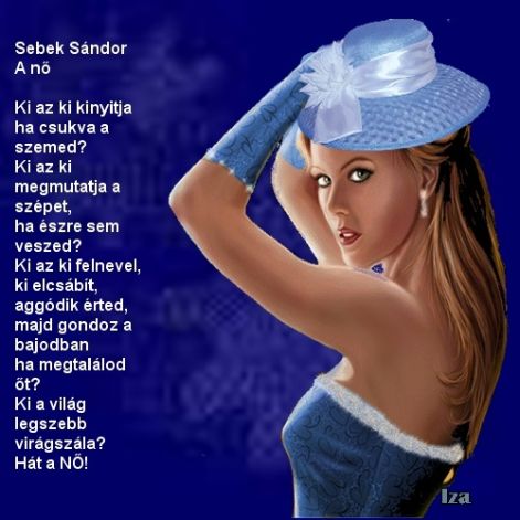 vers83v.jpg