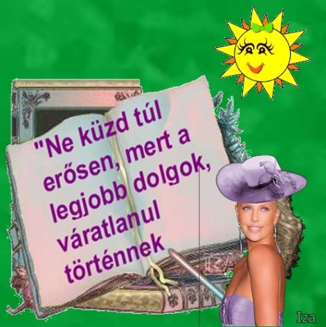 vers88v.jpg